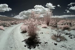 INFRARED_ANZA_BORREGO_MAY12_2019_695-65_FINAL_10