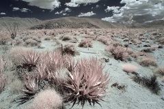 INFRARED_ANZA_BORREGO_MAY12_2019_695-91_FINAL_10