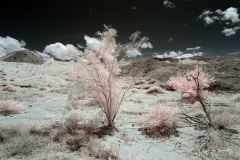 INFRARED_ANZA_BORREGO_MAY19_2019_695-49_FINAL_10