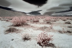 INFRARED_ANZA_BORREGO_MAY26_2019_695-26_FINAL_10