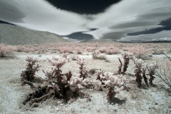 INFRARED_ANZA_BORREGO_MAY26_2019_695-35_FINAL_10