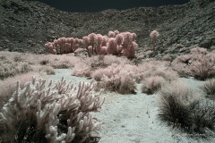 INFRARED_ANZA_BORREGO_MAY27_2019_695-250_FINAL_10