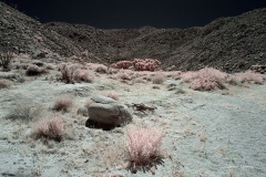 INFRARED_ANZA_BORREGO_MAY27_2019_695-257_FINAL_10