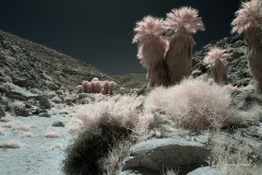 INFRARED_ANZA_BORREGO_MAY27_2019_695-272_FINAL_10