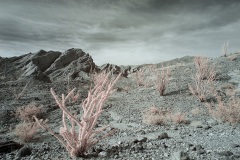 INFRARED_ANZA_BORREGO_NOV4_2018_695-124_FINAL_0