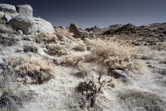 INFRARED_ANZA_BORREGO_NOV_17_695-11_FINAL_06