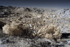 INFRARED_ANZA_BORREGO_NOV_17_695-96_FINAL_06