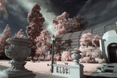 INFRARED_BALBOA_PARK_OCT28_2018_695-32_FINAL_01