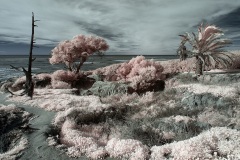 INFRARED_POINT_LOMA_JAN_22_2019-49_FINAL_02