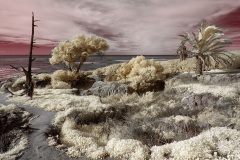 INFRARED_POINT_LOMA_JAN_22_2019-49_FINAL_03