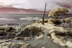 INFRARED_POINT_LOMA_JAN_22_2019-50_FINAL_03