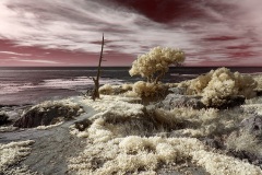 INFRARED_POINT_LOMA_JAN_22_2019-67_FINAL_03