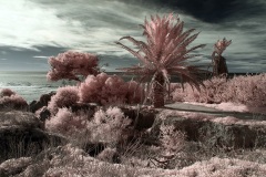 INFRARED_POINT_LOMA_JAN_22_2019-70_FINAL_02