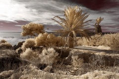 INFRARED_POINT_LOMA_JAN_22_2019-70_FINAL_03