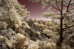 INFRARED_TORREY_PINES_695_JAN3_2019-43_FINAL_01