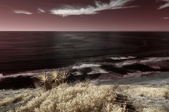 INFRARED_TORREY_PINES_695_JAN3_2019-76_FINAL_01