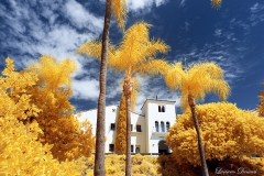 San Diego State University