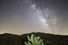 Anza-Borrego Desert