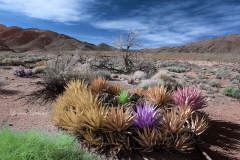 Anza-Borrego Desert, San Diego, California