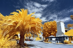 San Diego State University