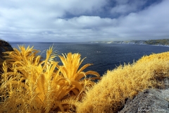 La Jolla Cove