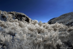 Mission Trails