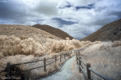 Mission Trails