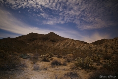 Anza-Borrego Desert