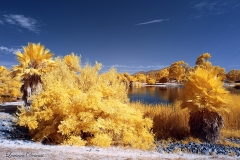 Mission Trails