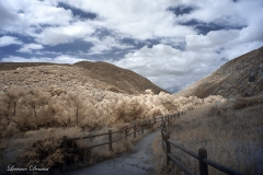 Mission Trails