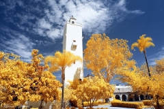 San Diego State University