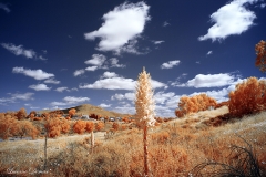 Mission Trails