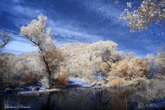 Mission Trails