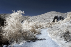 Mission Trails