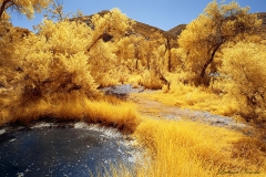 Mission Trails