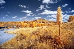 Mission Trails