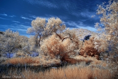 Mission Trails