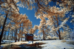 Cuyamaca Rancho State Park