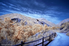 Mission Trails