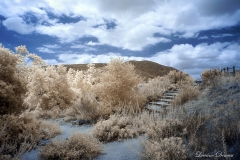 Mission Trails