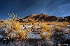 INFRARED_ANZA_BORREGO_APRIL16_2017 (102)_FINAL_01