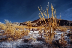 INFRARED_ANZA_BORREGO_APRIL16_2017 (105)_FINAL_01