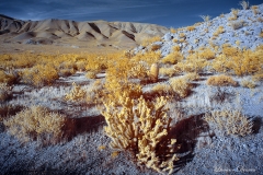 INFRARED_ANZA_BORREGO_APRIL16_2017 (107)_FINAL_01