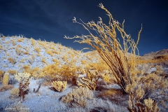 INFRARED_ANZA_BORREGO_APRIL16_2017 (108)_FINAL_01