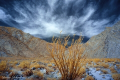 INFRARED_ANZA_BORREGO_APRIL16_2017 (30)_FINAL_01