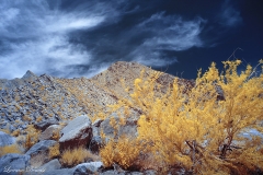 INFRARED_ANZA_BORREGO_APRIL16_2017 (31)_FINAL_01