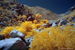 INFRARED_ANZA_BORREGO_APRIL16_2017 (48)_FINAL_01