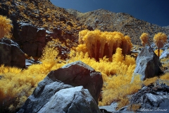 INFRARED_ANZA_BORREGO_APRIL16_2017 (79)_FINAL_01