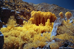 INFRARED_ANZA_BORREGO_APRIL16_2017 (80)_FINAL_01