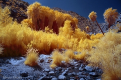 INFRARED_ANZA_BORREGO_APRIL16_2017 (87)_FINAL_01